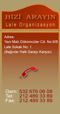 LALE ORGAN&Idot;ZASYON.GEN.TR - ileti&scedil;im
