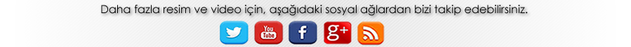 Lale Organizasyon.gen.tr